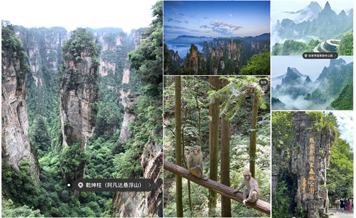  20220630『错峰出游』長(cháng)沙热门景点游玩畅游橘子洲头、全景阿凡达张家界森林公园+悬崖玻璃栈道四天一行12人(图6)